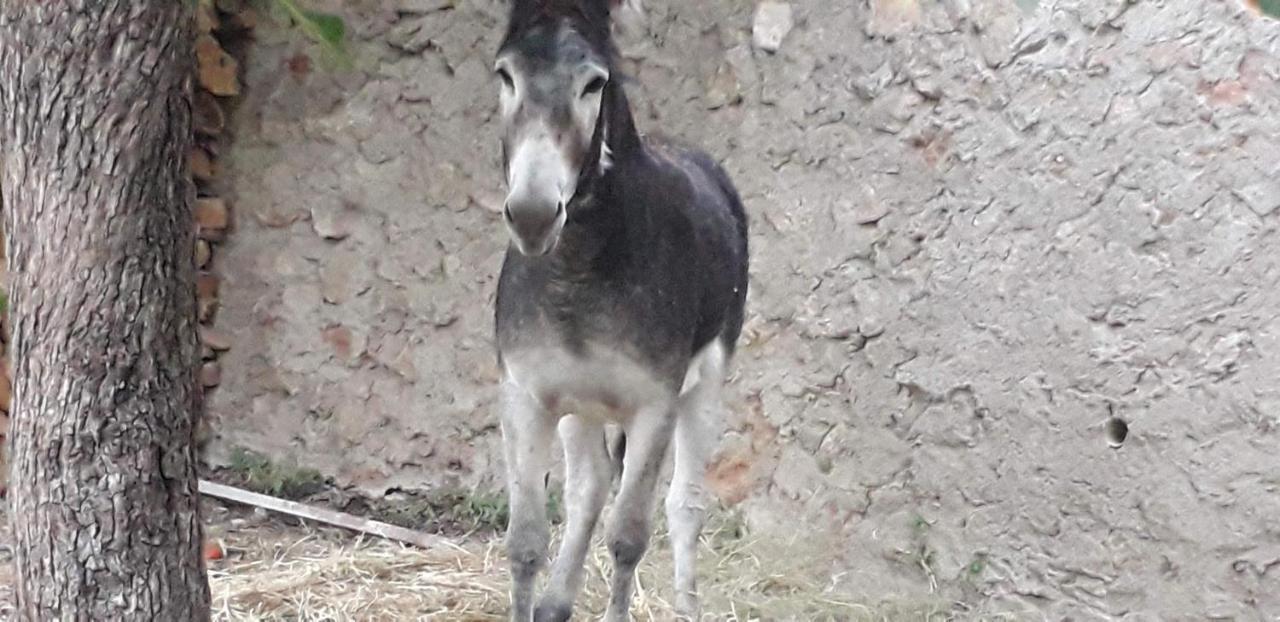 Beires Casa Rural Entresierras מראה חיצוני תמונה